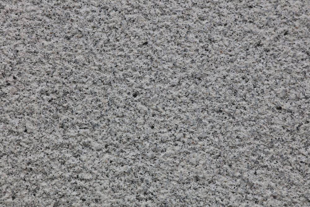 White Sesame — Image 3