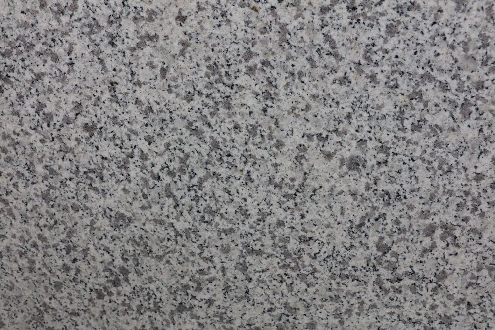 White Sesame — Image 4