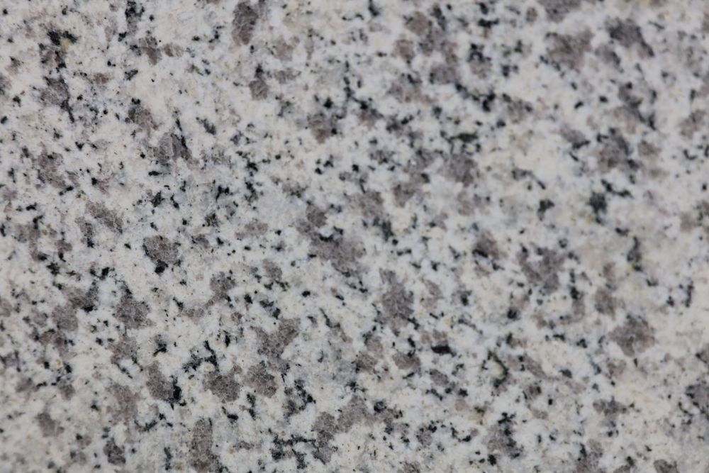 White Sesame — Image 5