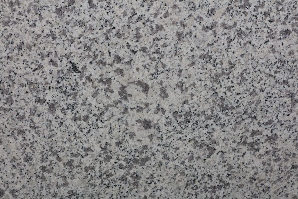 White Sesame — Image 6