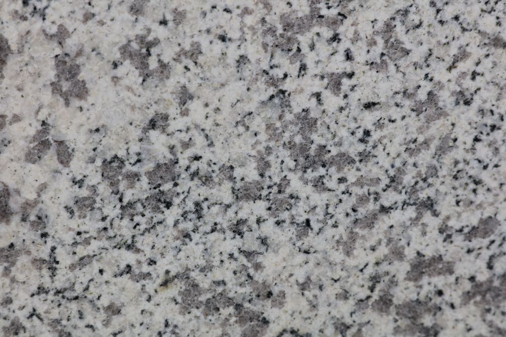 White Sesame — Image 7