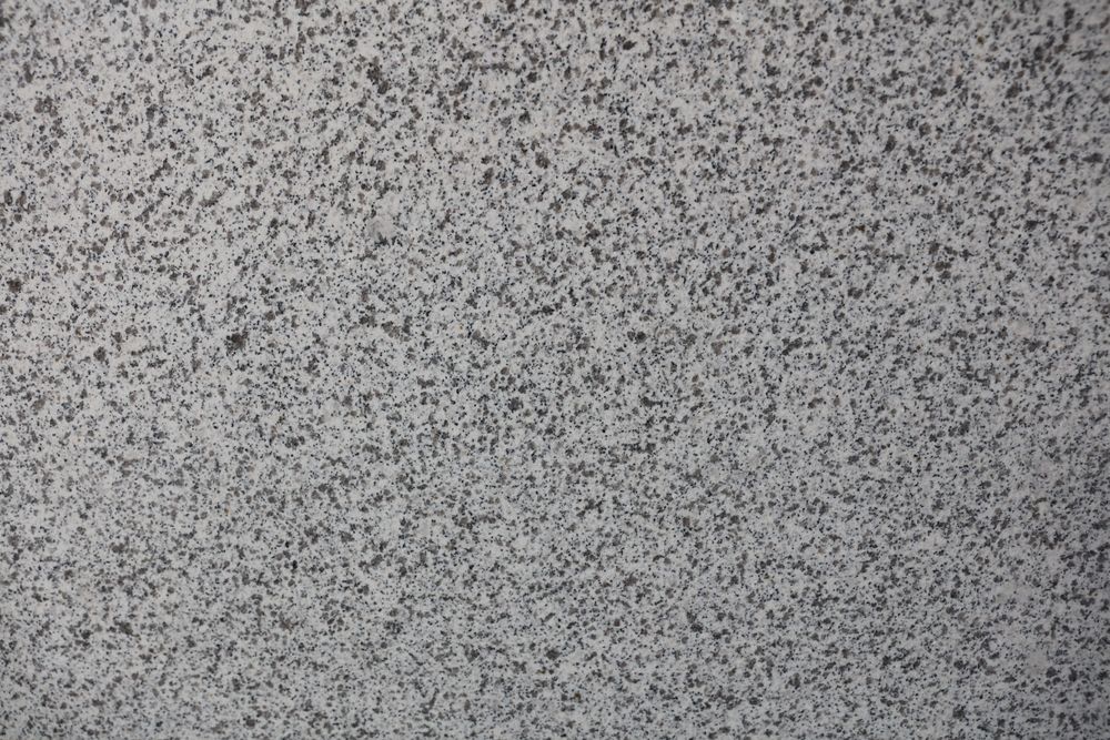 White Sesame — Image 8