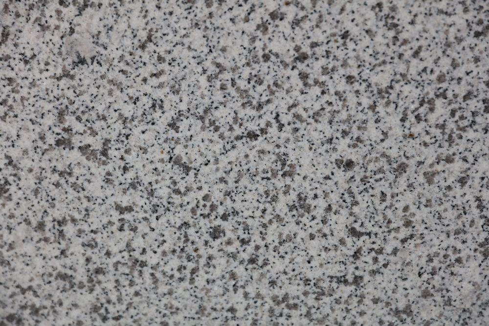 White Sesame — Image 9