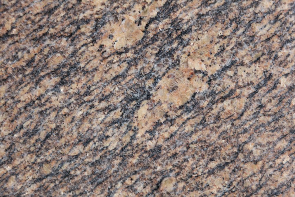 California Golden Sesame — Image 1