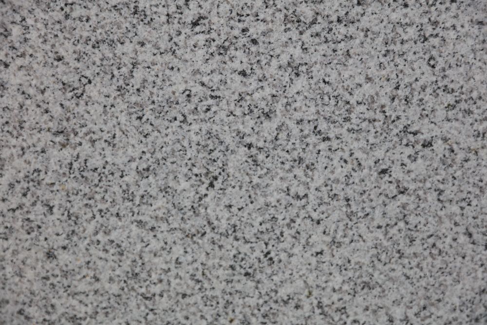 Shandong White Sesame — Image 1