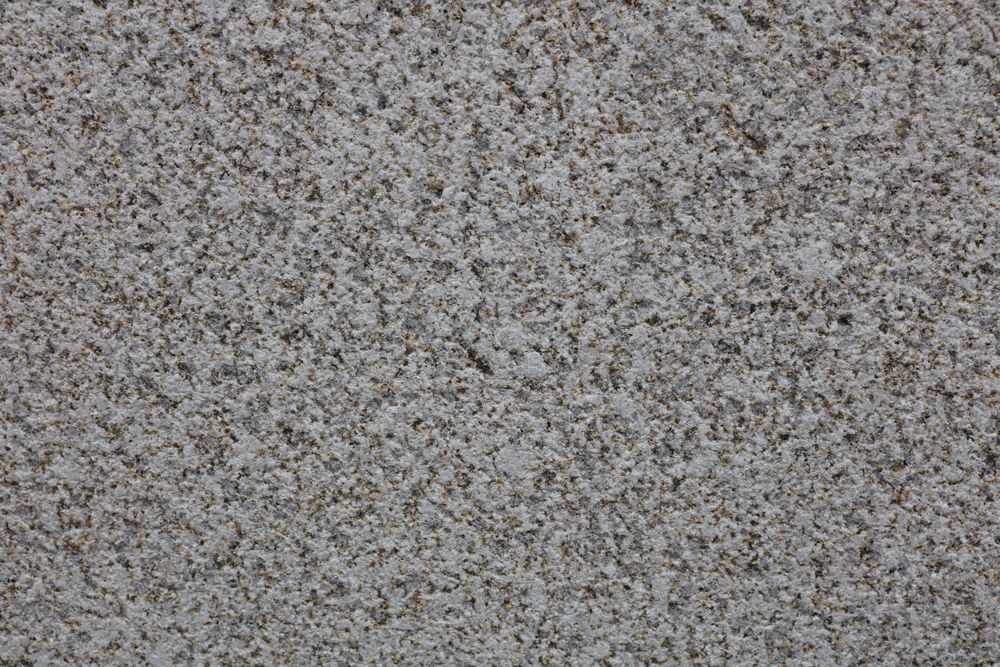 Golden Sesame — Image 4