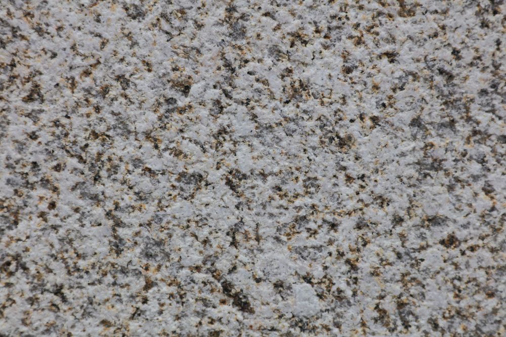 Golden Sesame — Image 5