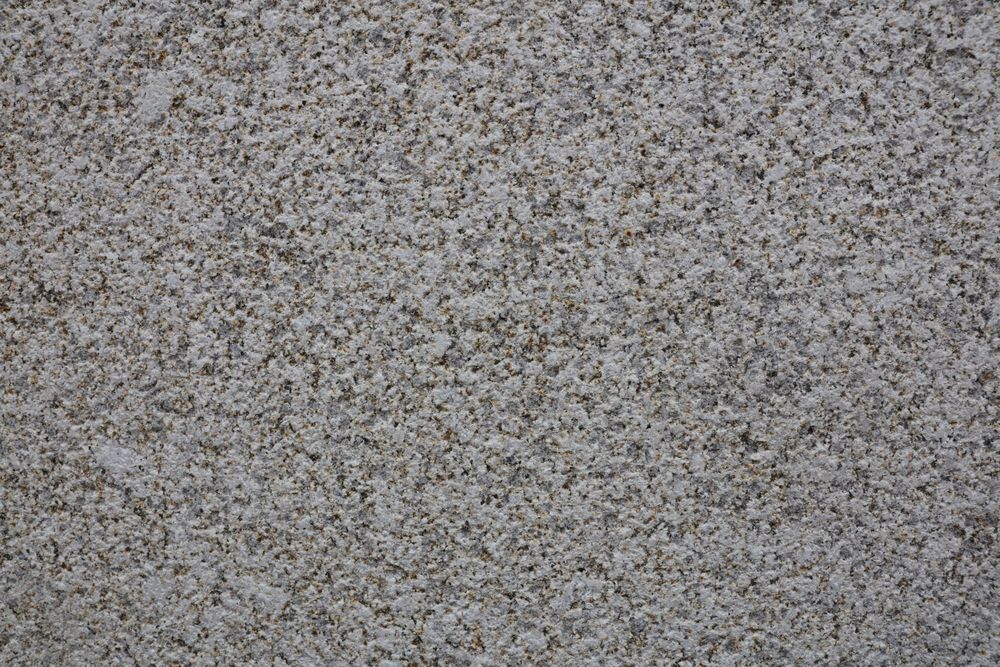 Golden Sesame — Image 6