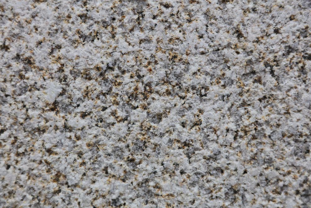 Golden Sesame — Image 7