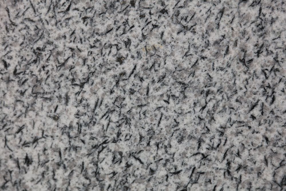 Frost Tree Pattern — Image 1