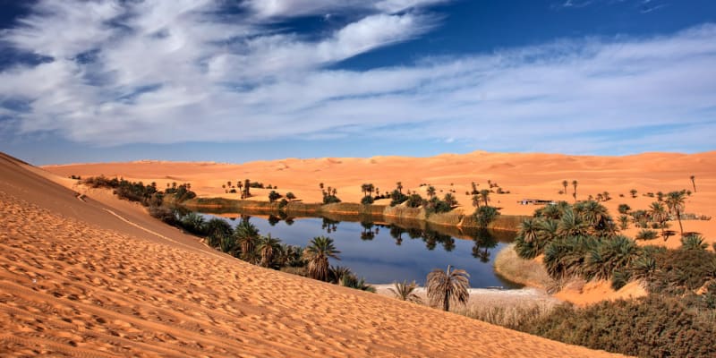 Baynounah to take part in Al Ain Tournament Final