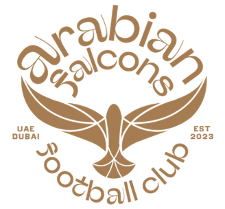 Away Team logo