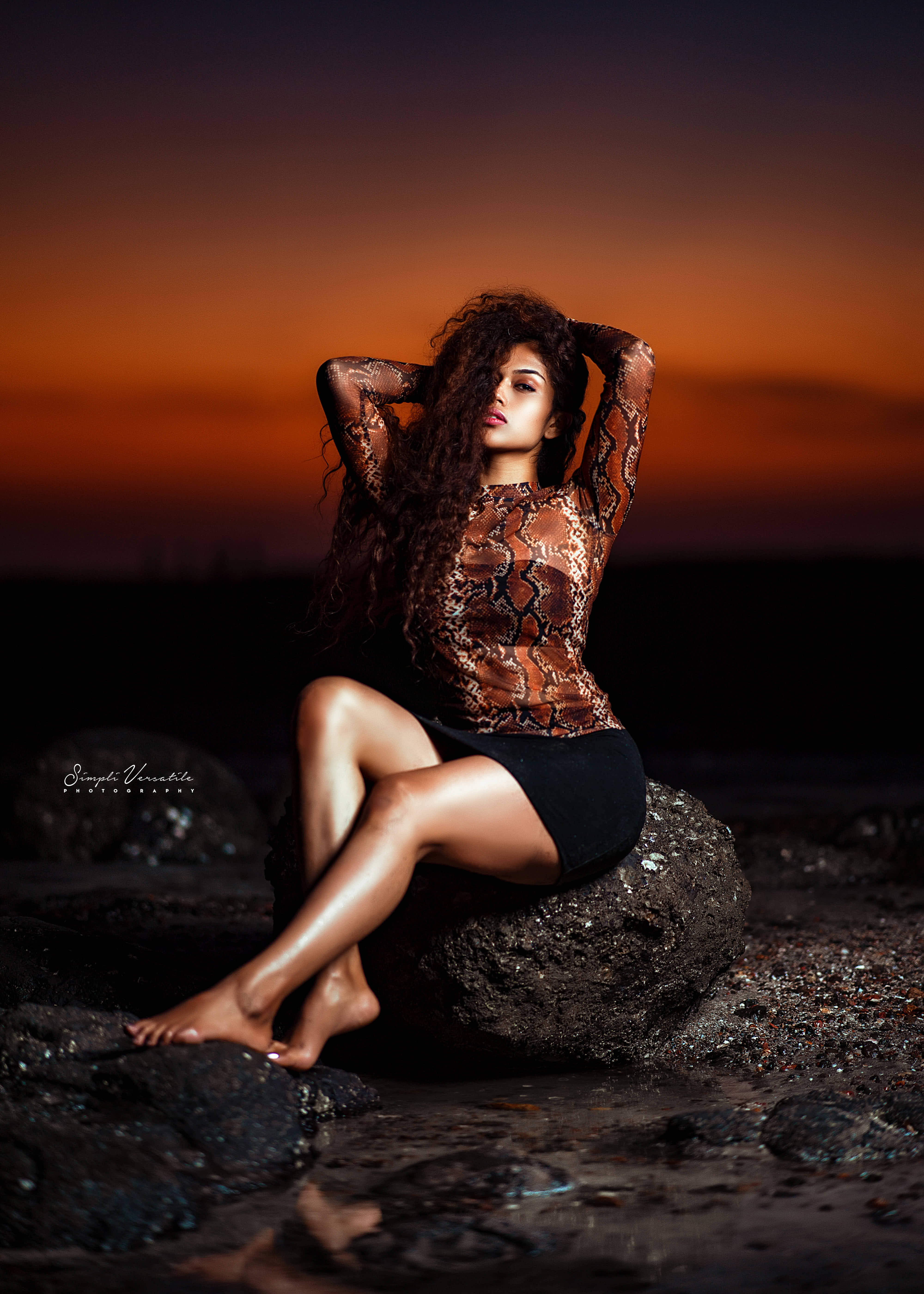 Model portfolio