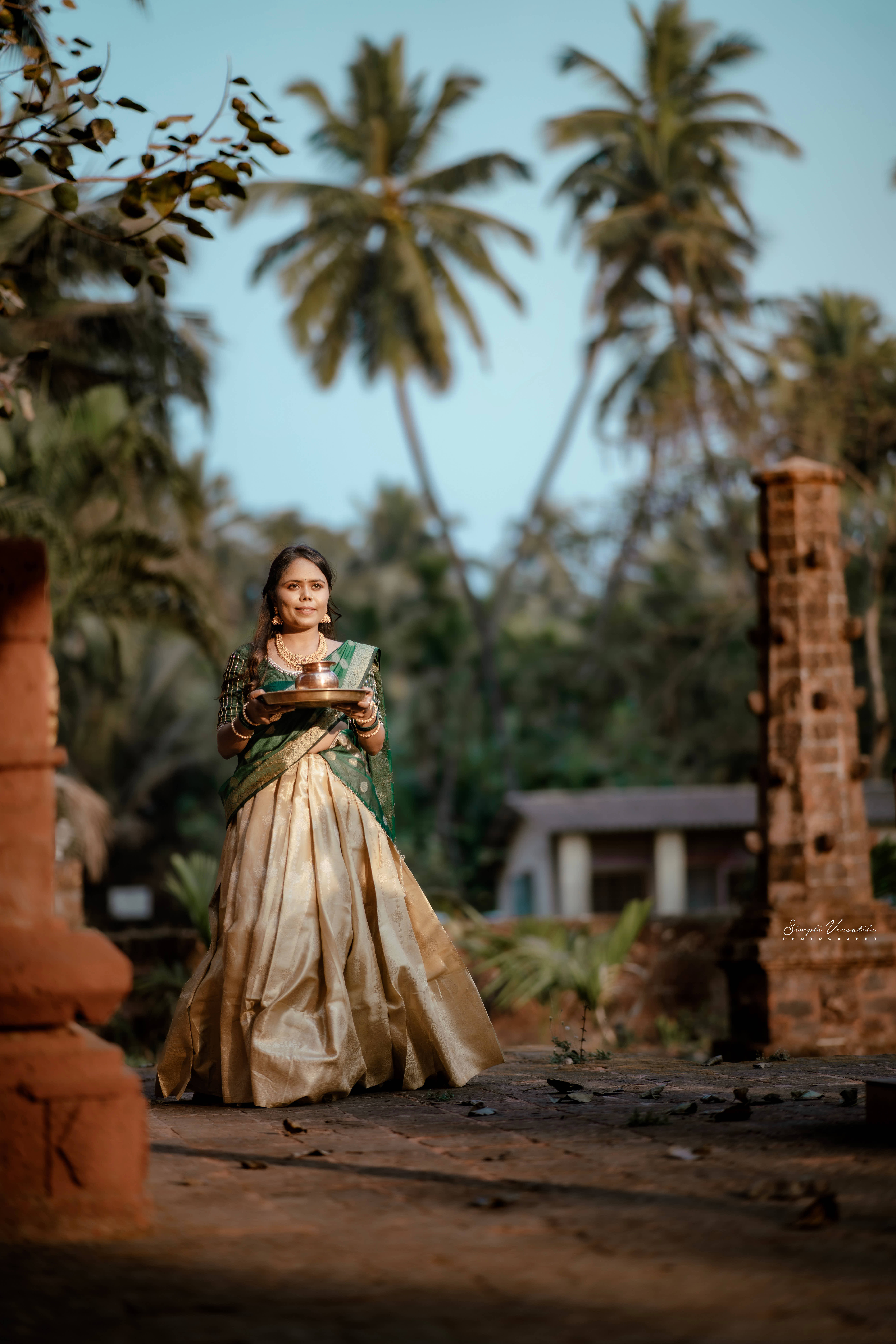 Akash & Vaani Pre-Wedding