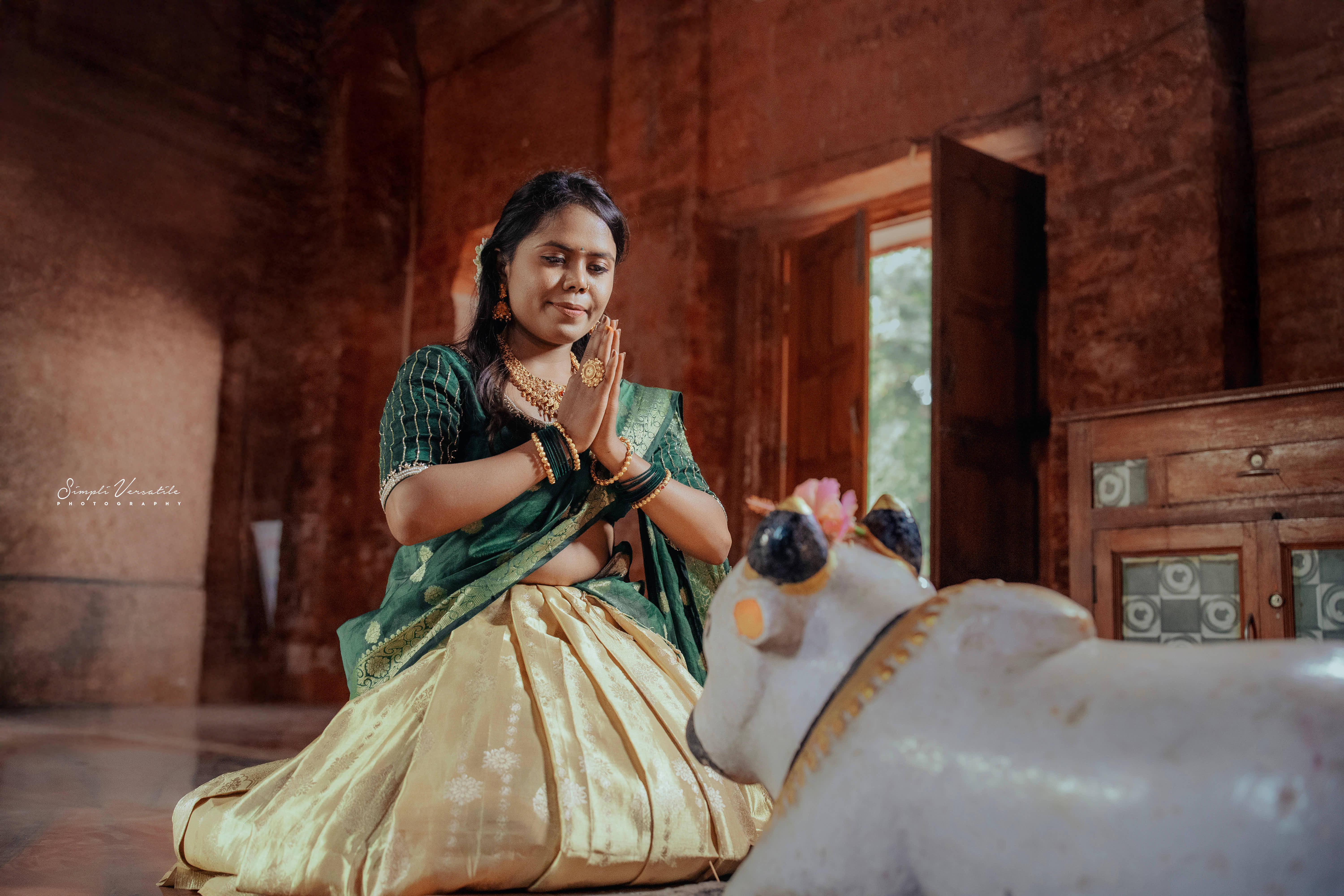 Akash & Vaani Pre-Wedding