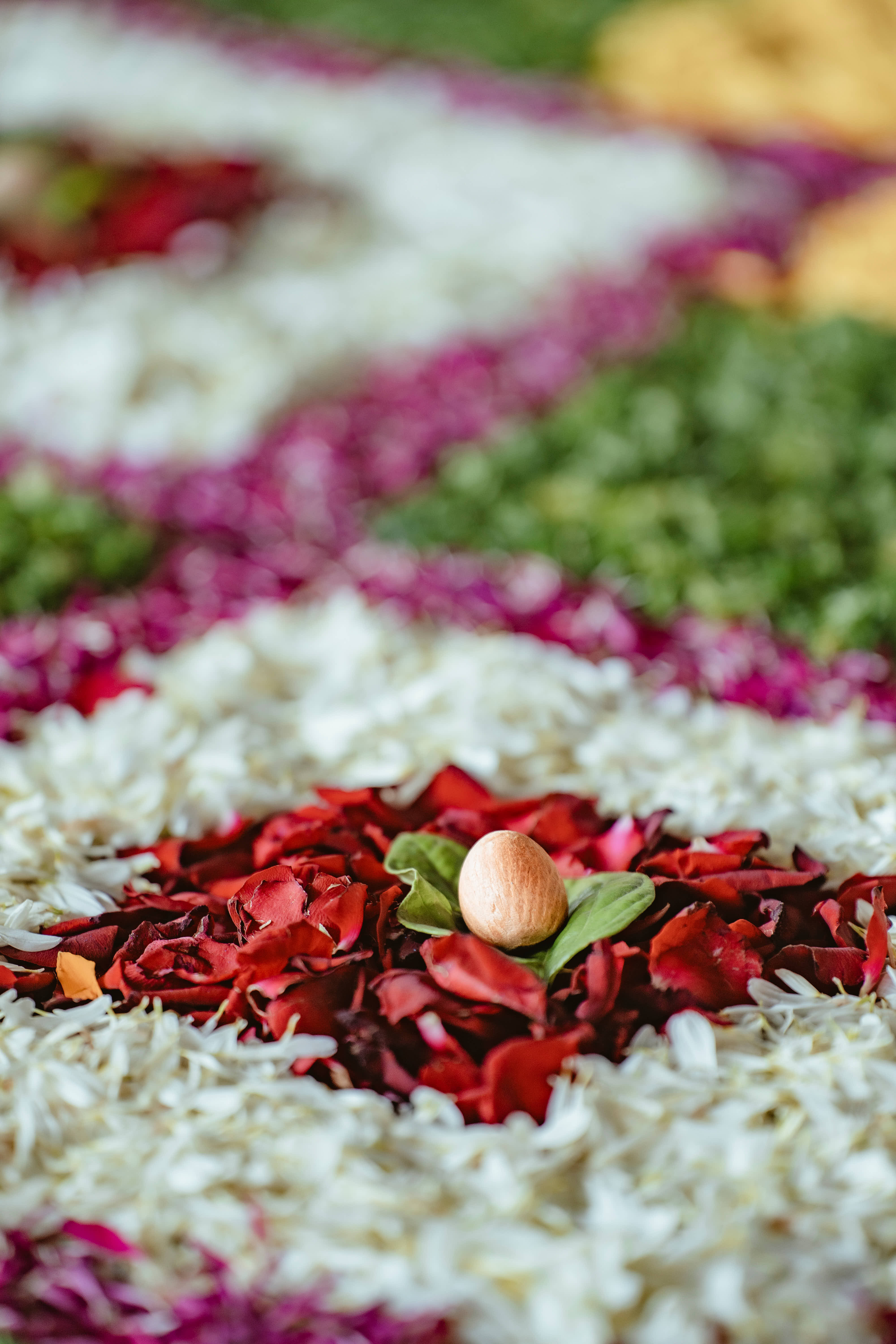 Ankita & Sagar Wedding