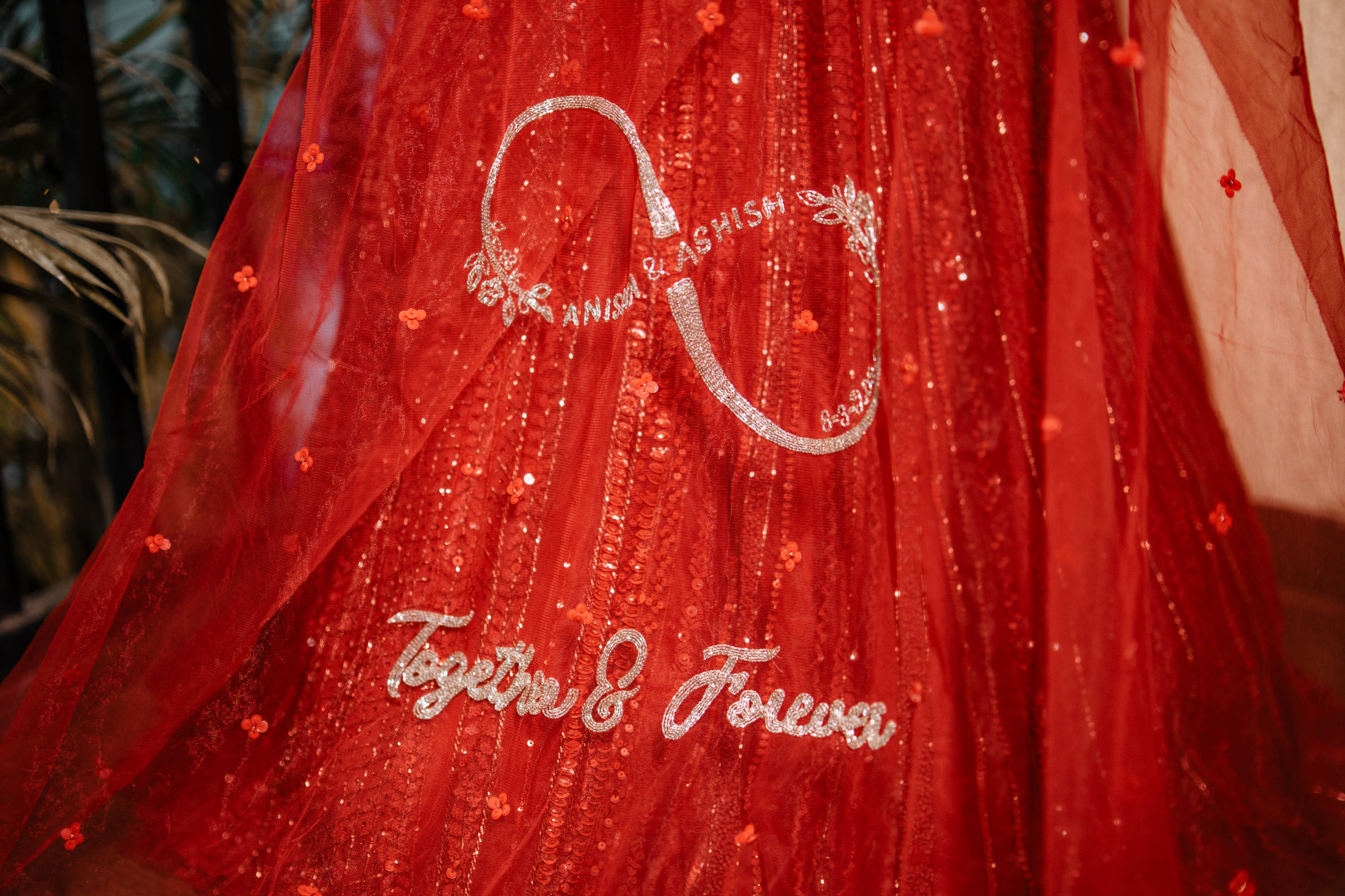 Anisha & Ashish Wedding
