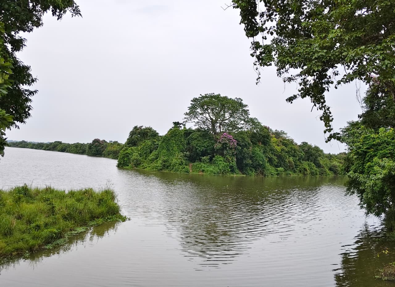 Kaziranga Landscape