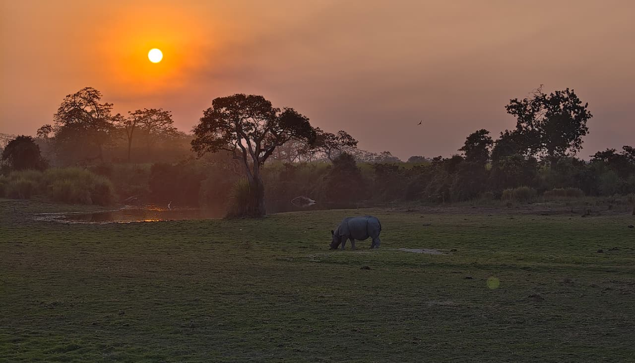 Kaziranga Sunset