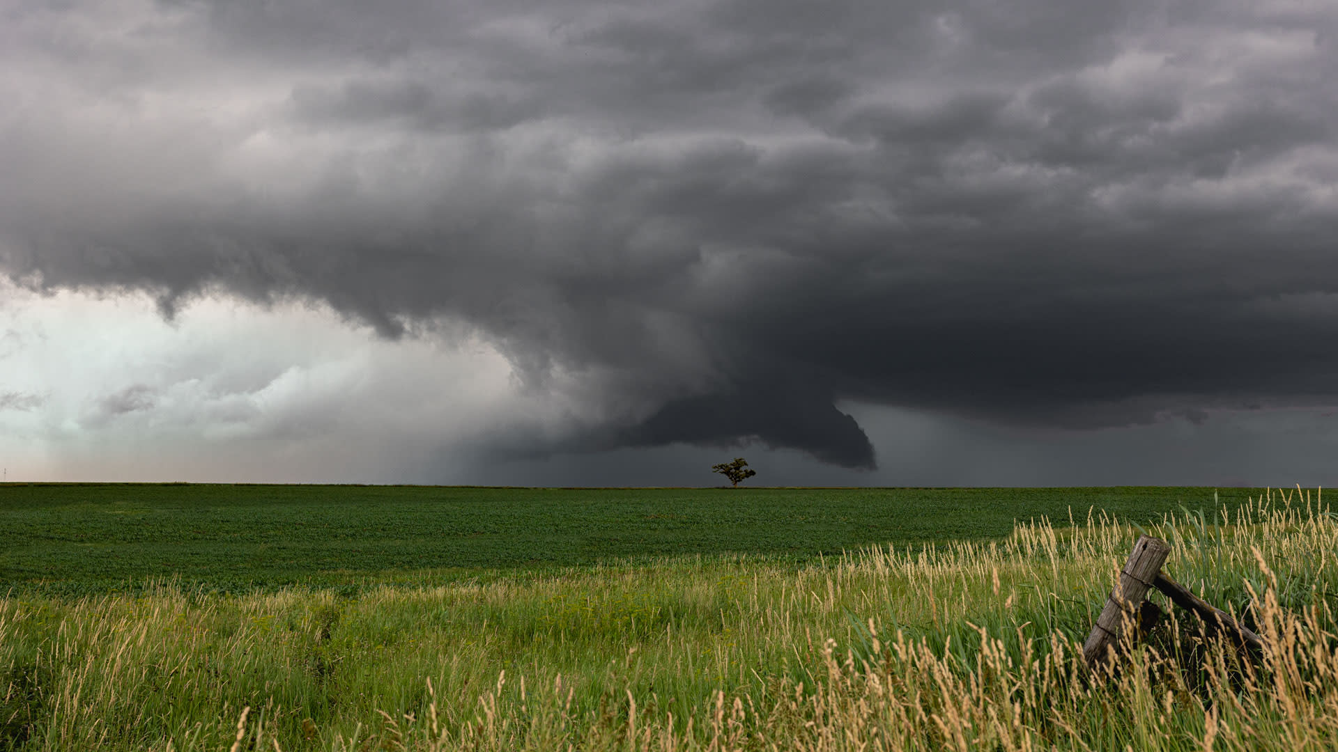 Image 7. Wall Cloud with classic 'inflow tail' June 22, 2024
