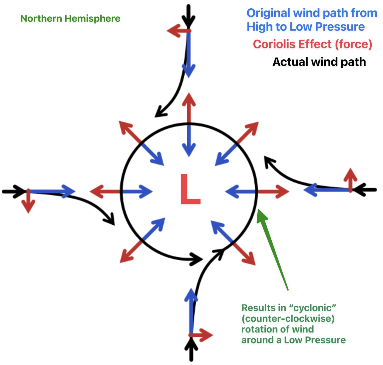Image 14. Combination of factors results in cyclonic (counter-clockwise) rotation in Northern Hemisphere.