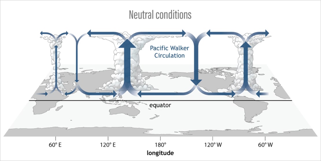 Image 6. Baseline Pacific Walker Circulation