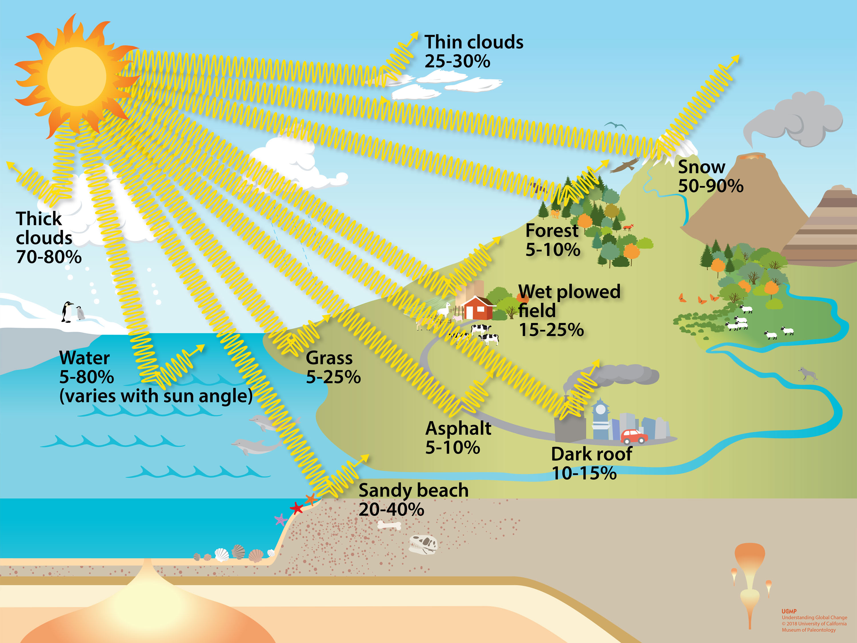 Image 4. Different features on Earth reflect energy and absorb heat differently