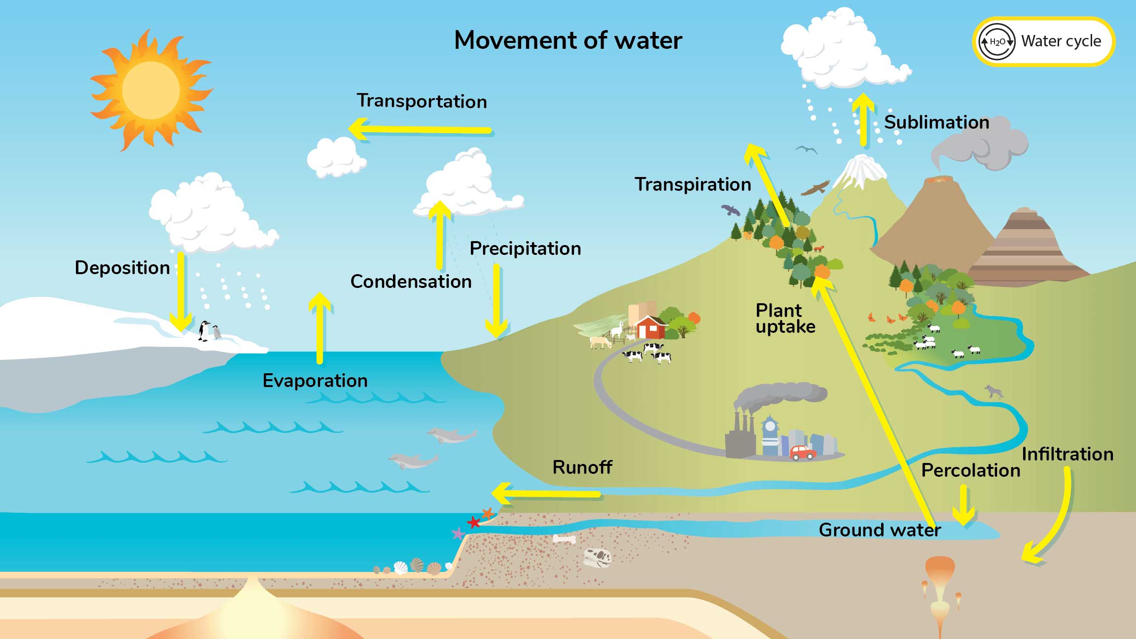 Image 8. Earth's Water Cycle Simplified