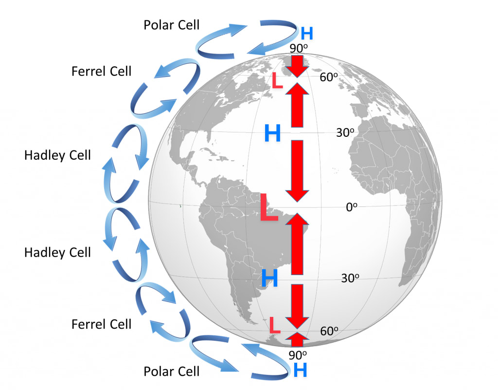 Image 5. Three Convective Cells in each hemisphere with red arrows mapping the general surface winds