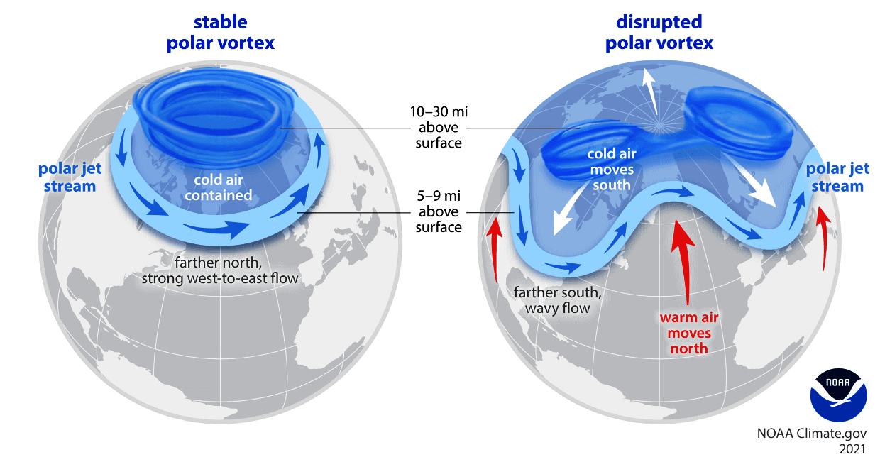 Image 3. Depiction of stable/strong Polar Vortex (left) and weak/collapsed Polar Vortex (right)