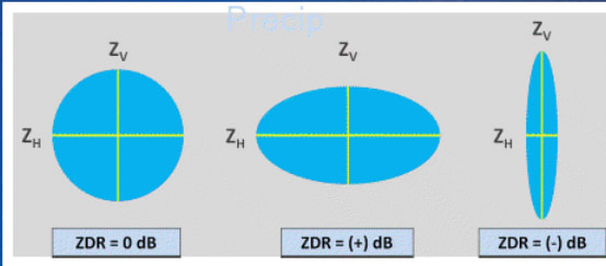 Image 8. Differential Reflectivity - helps determine how uniformly circle objects are