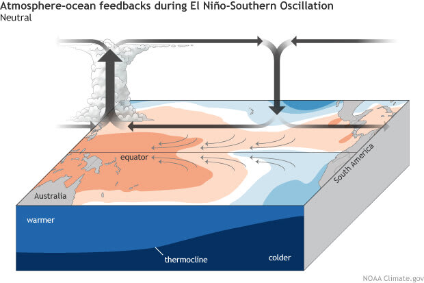 Image 14. Walker Circulation. Warmer waters west with low pressure. Cooler waters east with high pressure.