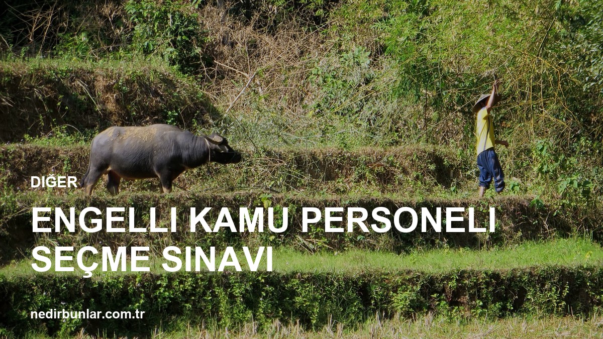 Engelli Kamu Personeli Seçme Sınavı (EKPSS): Başvurular Ne Zaman?