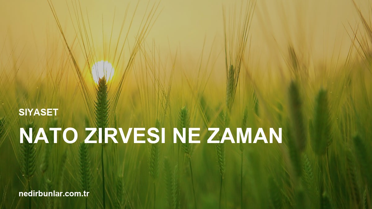 NATO Zirvesi Ne Zaman? Tarihler ve Gündem Detayları