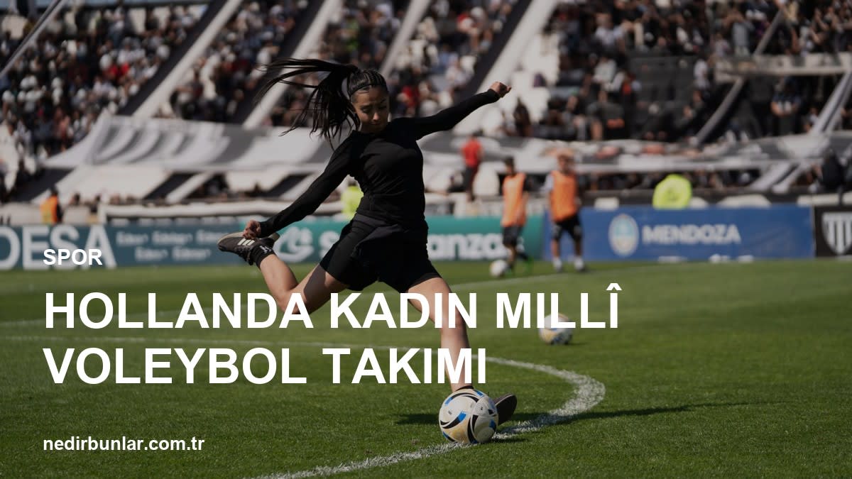 Hollanda Kadın Millî Voleybol Takımı: Son Durum ve Başarılar