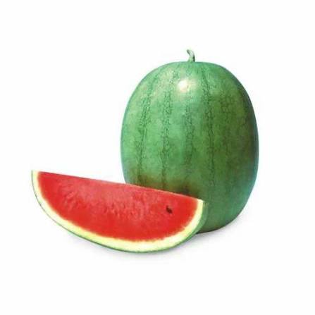Watermelon jannat
