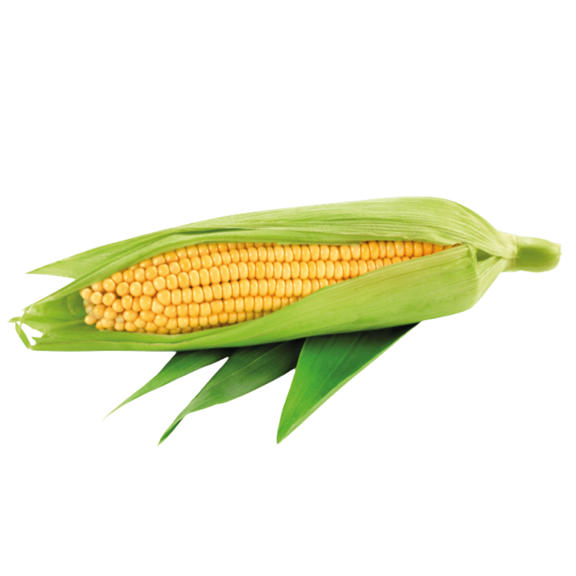 Corn (butta)