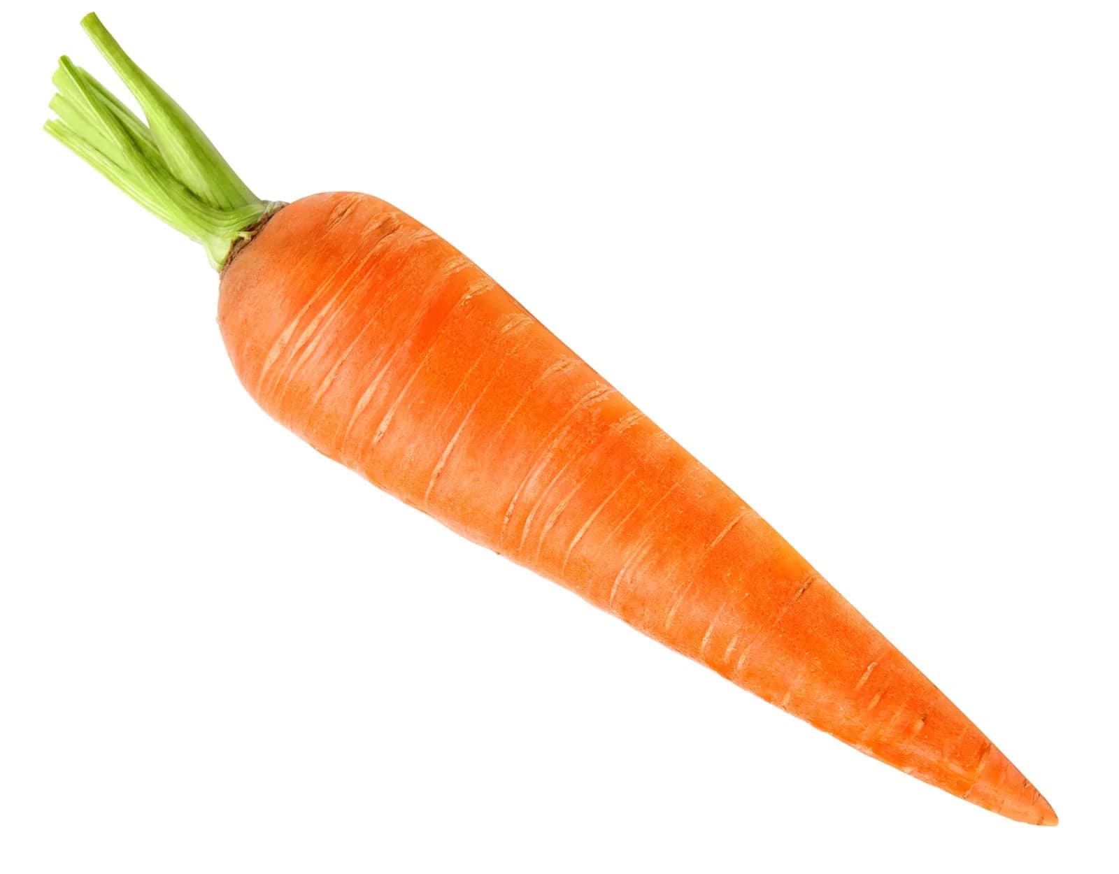 Carrot orange