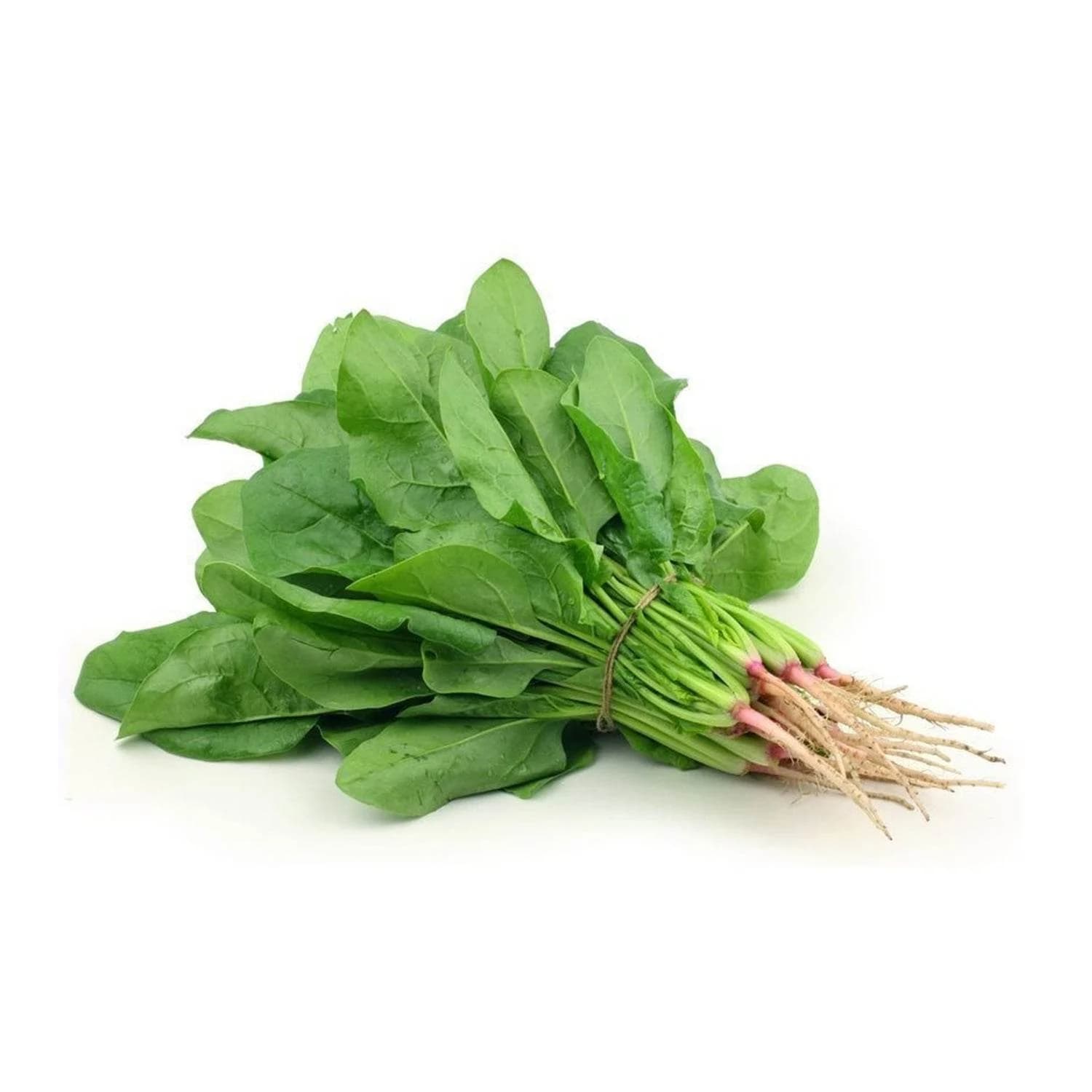 Palak