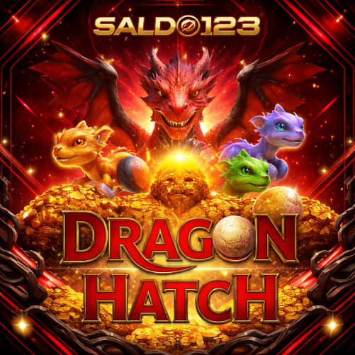 SALDO123