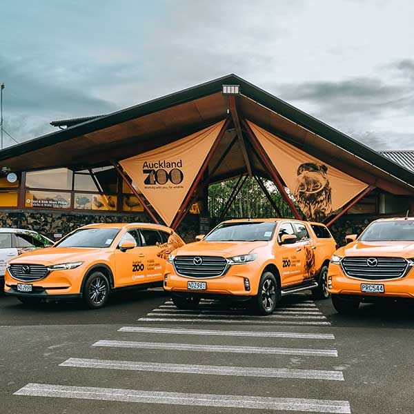 Three orange Mazda cars parked at the entrance to the Auckland Zoo