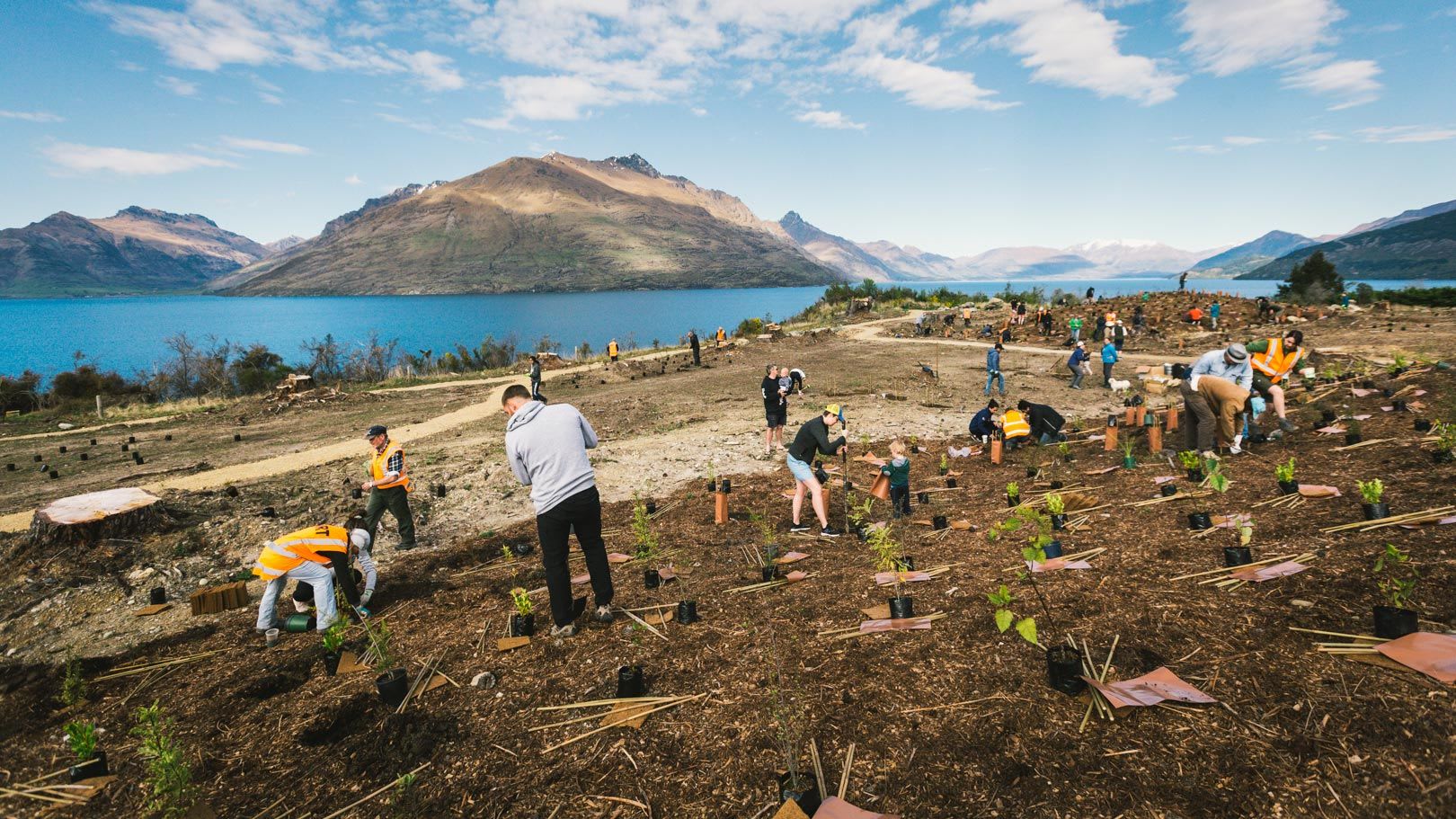 People planting trees in an open field for Trees That Count 