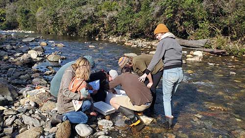 Mazda Foundation recipient March 2024 - Tasman Bay Guardians Trust