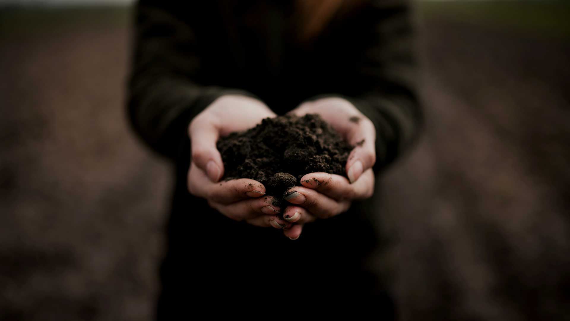 Close-up of hands holding dirt - Mazda Foundation 2023 grant recipients 