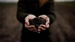Mazda Foundation recipient October 2023 - The Good Carbon Farm Limited