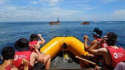 Mazda Foundation recipient June 2021 - Spirit of Adventure Trust