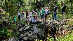 Mazda Foundation recipient March 2021 - Matuku Reserve Trust Board