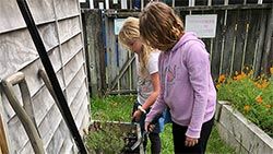 Mazda Foundation recipient September 2020 - Churton Park School