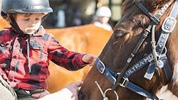 Mazda Foundation recipient September 2020 - Motueka Group Riding for the Disabled Association Incorporated