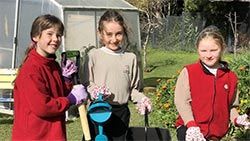 Mazda Foundation recipient June 2020 - Waiheke Primary School